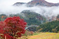 ふるさととんぼ池