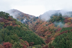 湯沢地区の紅葉