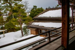 渡邉邸庭園202203